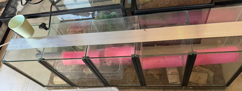 Terrarium straat, Animaux & Accessoires, Enlèvement, Comme neuf