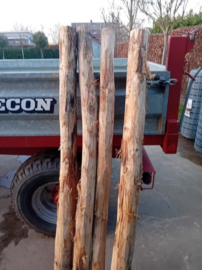 10 acacia palen, lengte 180cm dikte 10-12cm, Ophalen, Zo goed als nieuw, Palen