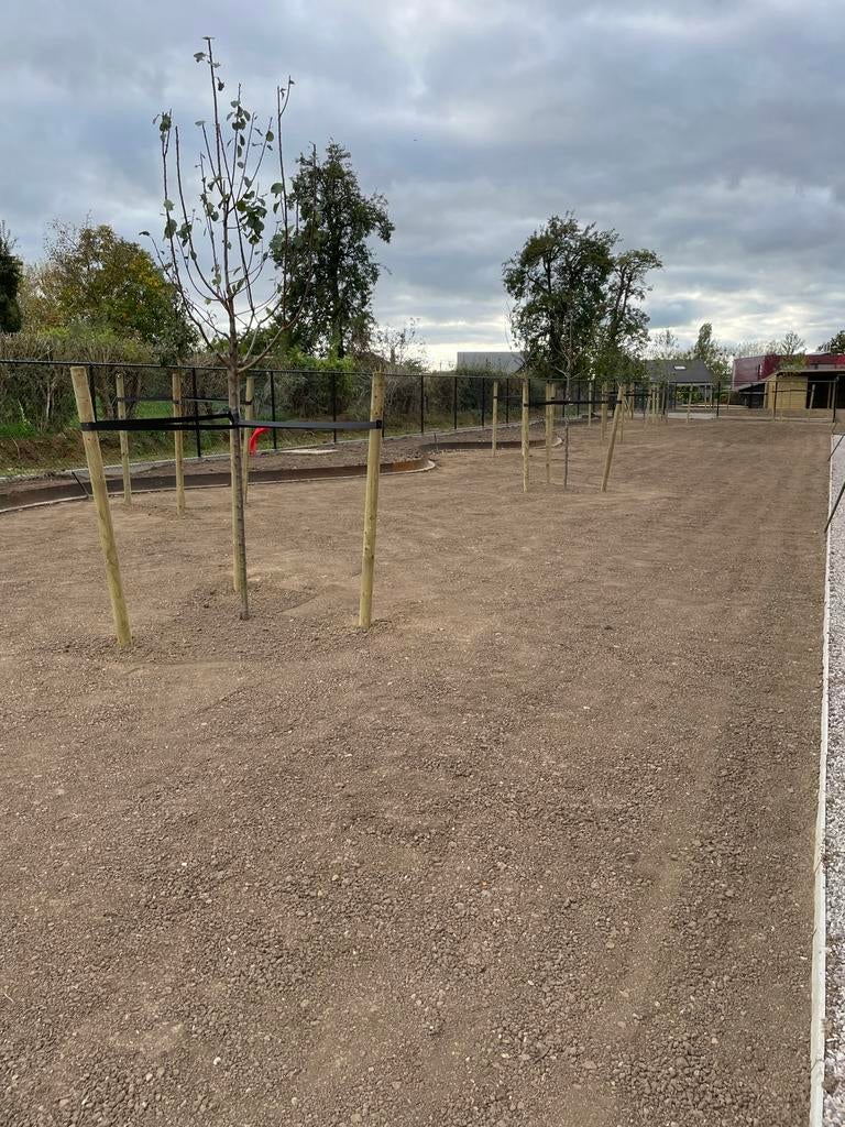 Van kale grond tot een mooi gazon, Tuin en Terras, Ophalen, Nieuw, 20 m² of meer, Gras