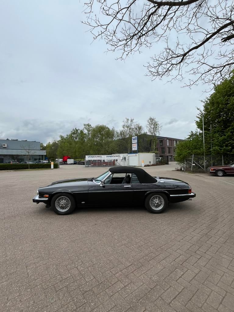 Jaguar XJS V12 Hess & Eisenhardt, Autos, Cuir, Achat, 5400 cm³, Entreprise
