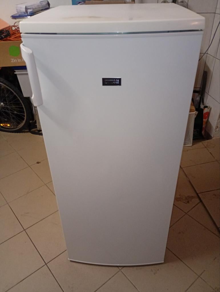 Koelkast Zanussi 250CI in goede staat, Ophalen, 120 tot 140 cm, 200 liter of meer, 45 tot 60 cm