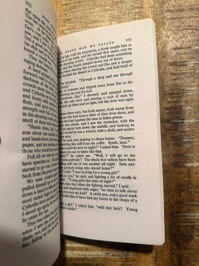 How green was my Valley - Richard Llewellyn, Boeken, Ophalen of Verzenden, Gelezen, Richard Llewellyn, Amerika