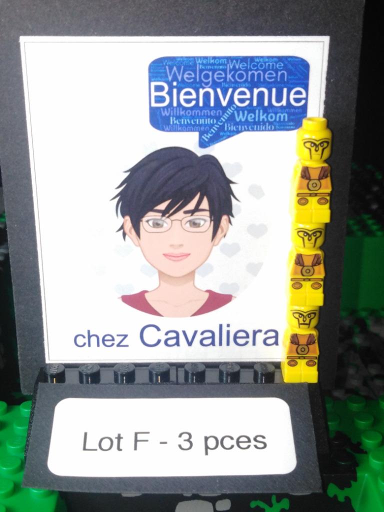 Lot F : 3 micro-figurines Lego Games Gladiateurs Jaunes Mino, Enfants & Bébés, Jouets | Duplo & Lego, Comme neuf, Lego, Briques en vrac