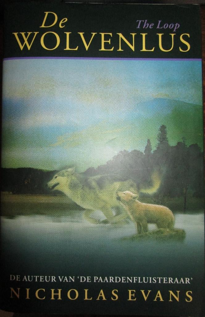 allerlei boeken 7 euro, Livres, Littérature, Amérique, Enlèvement ou Envoi