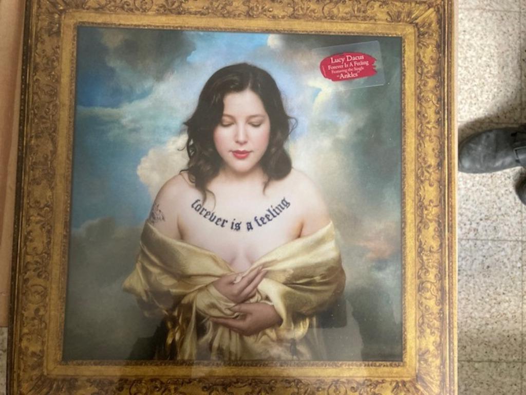 LP - lucy dacus - forever is a feeling - nieuw in folie, Ophalen of Verzenden, Nieuw in verpakking, 12 inch