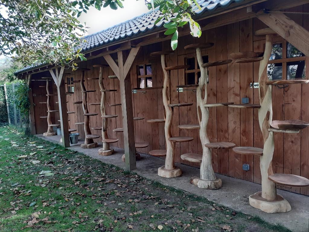 Poteaux pour chats, Animaux & Accessoires, Meubles griffoirs pour chats, Neuf, Griffoir, Enlèvement ou Envoi