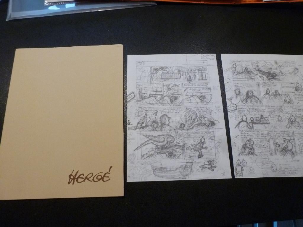 Tintin - pochette avec 2 crayonnés - Rombaldi, Livres, Une BD, Enlèvement ou Envoi, Utilisé, Hergé