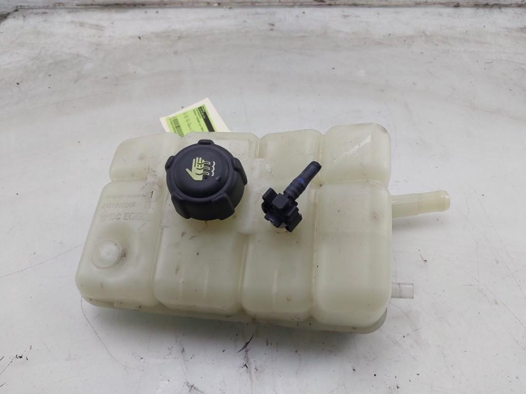 VASE D'EXPANSION Kangoo Express (RFK) (|217101626R|), Dhr. J. Ham, Renault, Administratie@autoham.nl, Utilisé