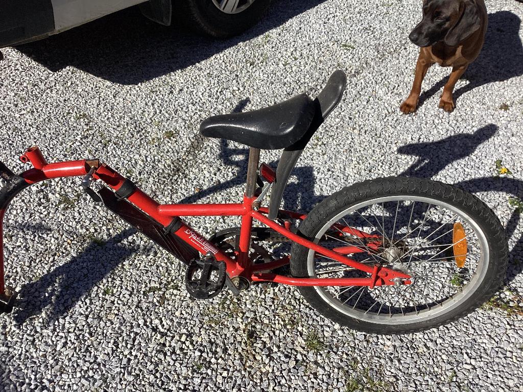 Aanhangfiets, Fietsen en Brommers, Fietsen | Kinderfietsjes, Ophalen, Zo goed als nieuw