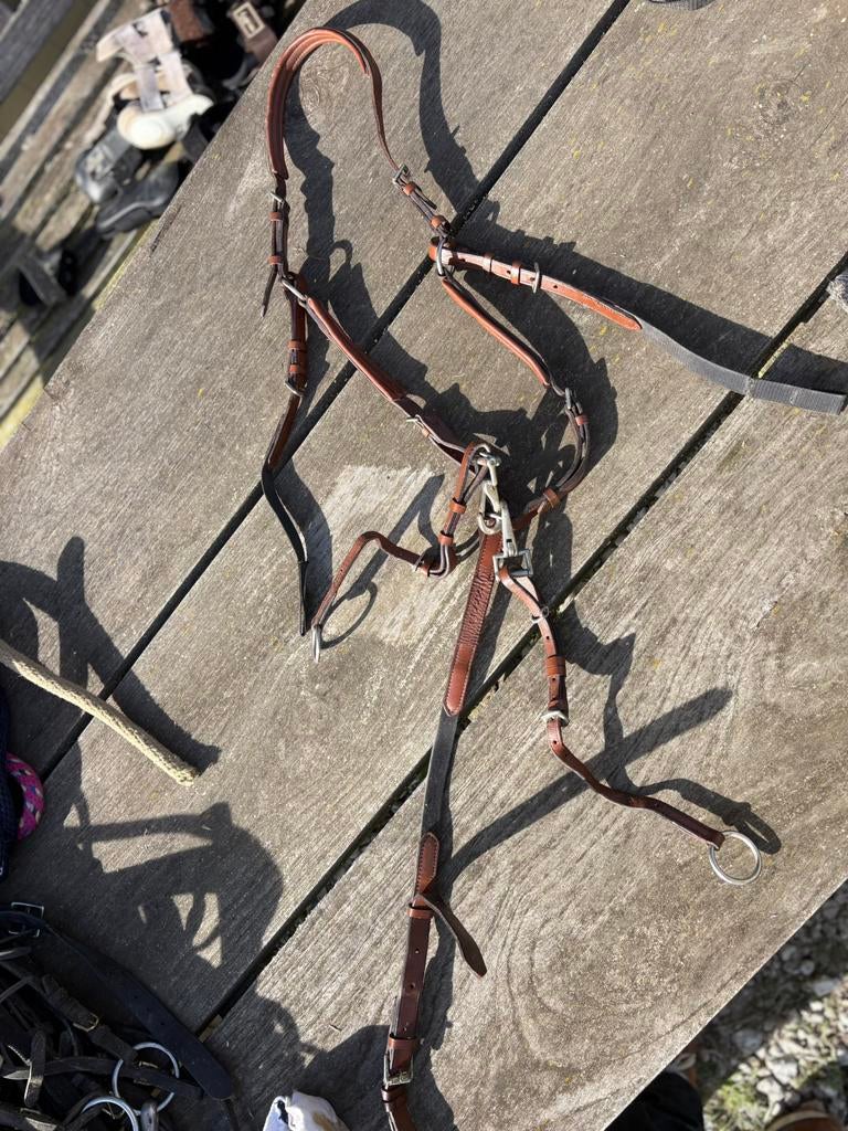 Martingaal Stübben paard, Dieren en Toebehoren, Ophalen of Verzenden