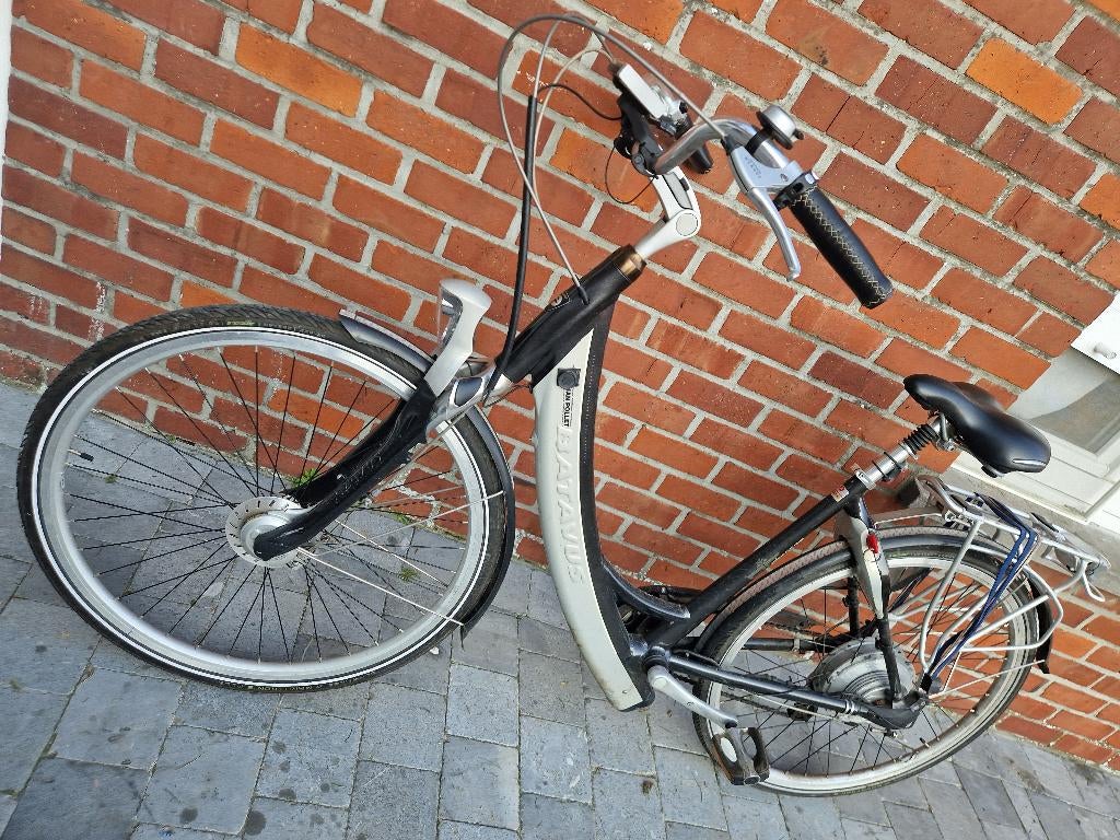 Elektrische fiets met lader, Enlèvement, Batavus