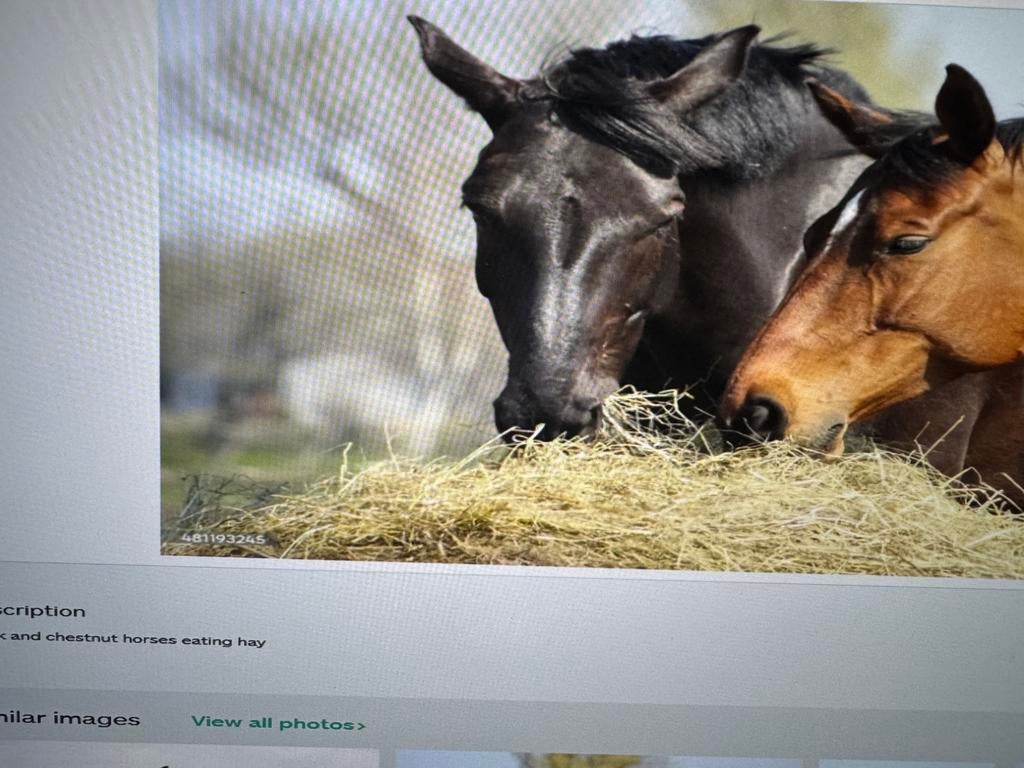 Grote pakken hooi, Ophalen