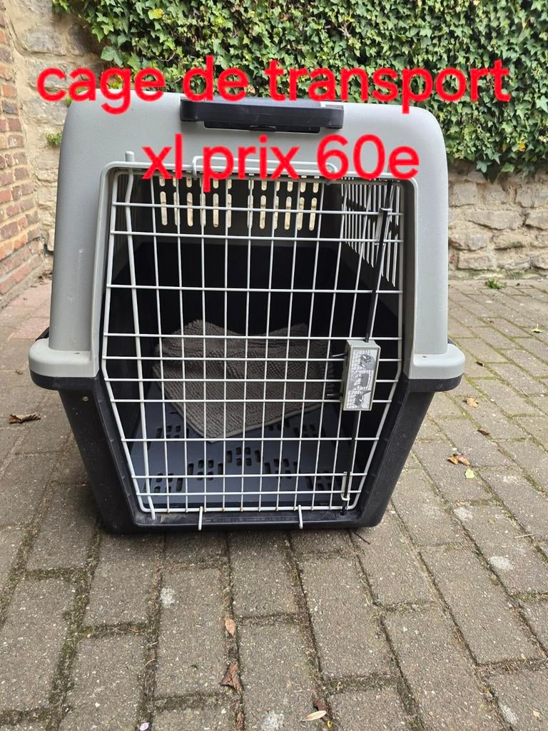 Cage de transport ,cage xxl ,mangoir pour grand chien, Animaux & Accessoires, Maisons pour chiens, Enlèvement