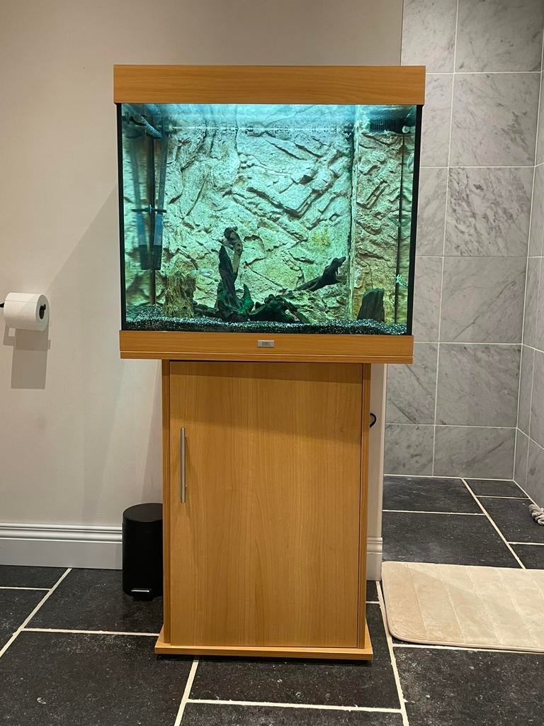 juwel lido aquarium 200 liter + buiten en binnen filter, Dieren en Toebehoren, Ophalen, Pomp, Zo goed als nieuw, Juwel