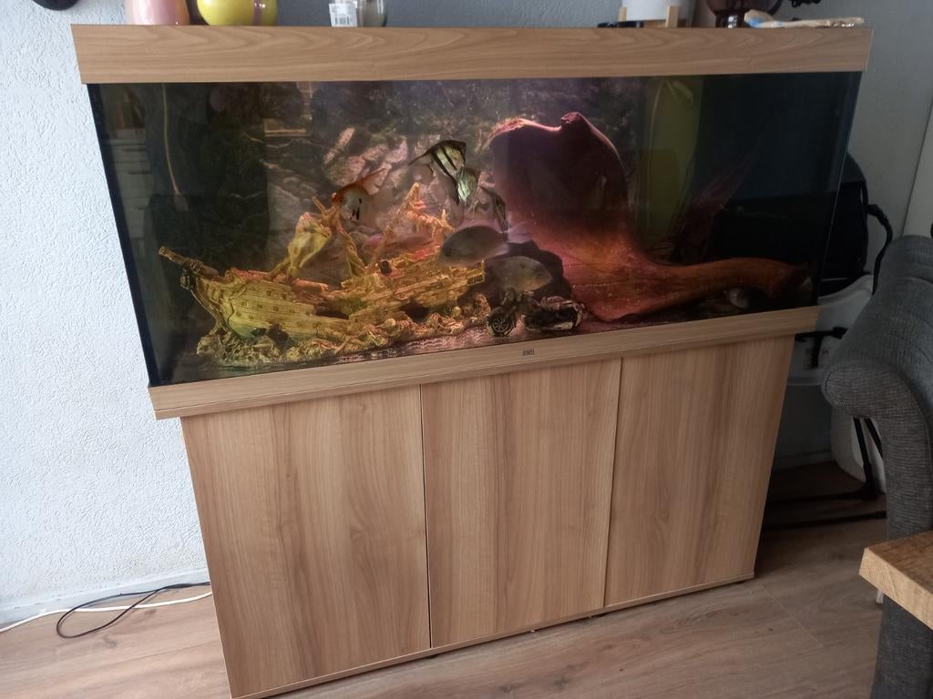 Aquarium Jewel Rio 450 avec éclairage LED, Enlèvement, Chauffage, Juwel