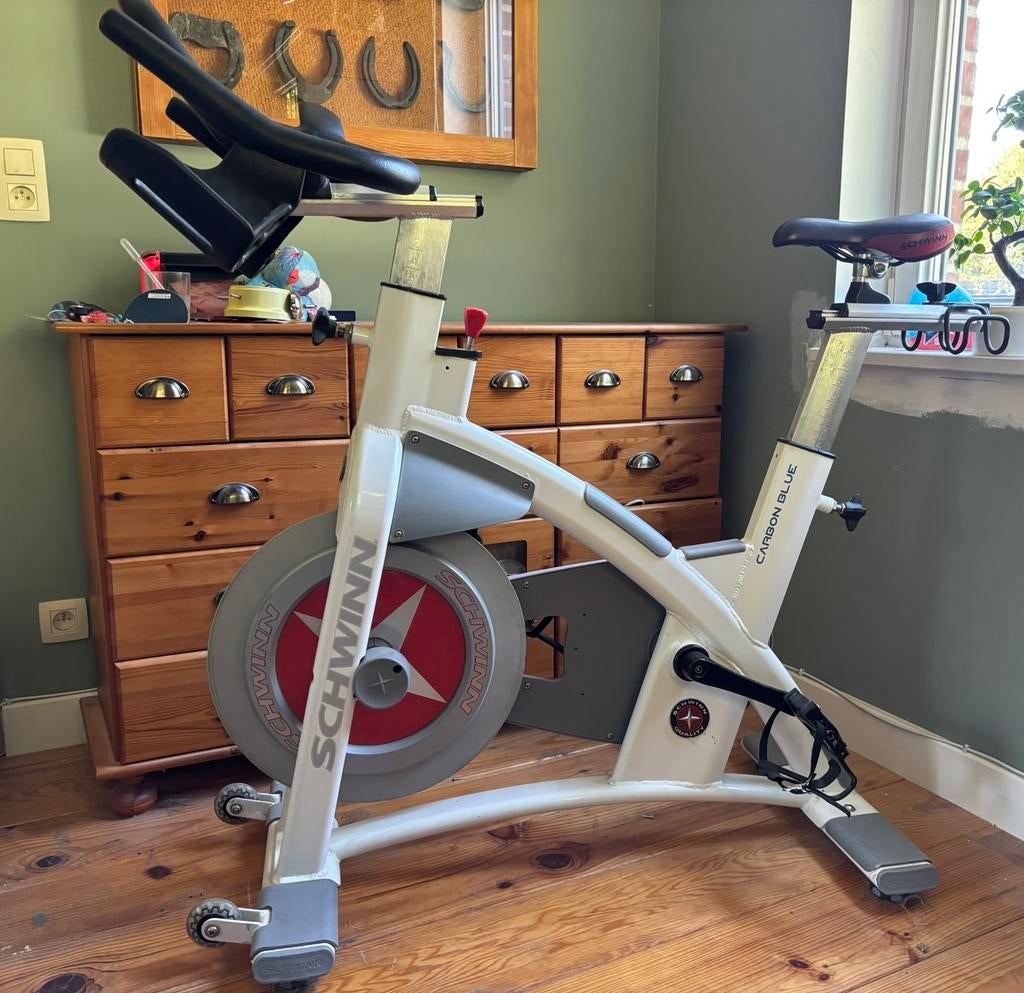 Vélo Schwinn de spinning, Enlèvement, Utilisé, Autres types