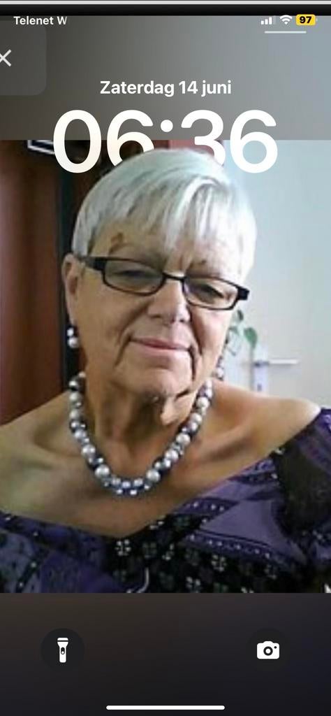 Bijles Frans, Privéles, Bijles