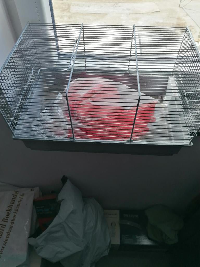 klein hamsterkooi, Dieren en Toebehoren, Knaagdieren en Konijnen | Hokken en Kooien, Ophalen, Nieuw, Kooi, Hamster