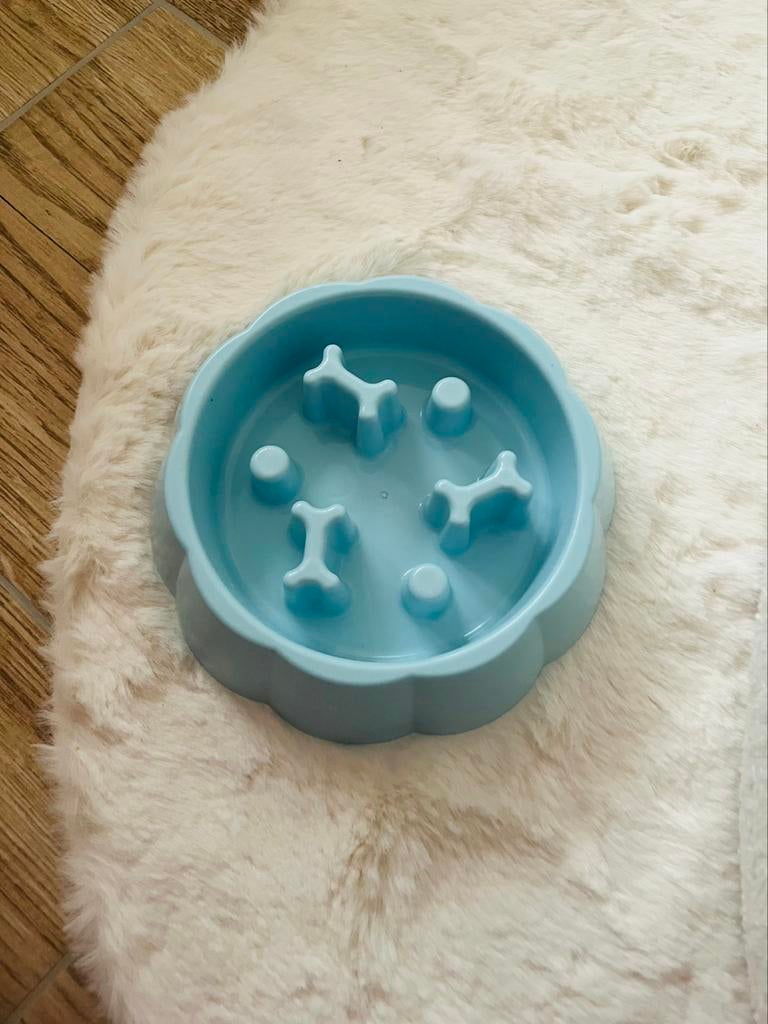 Accessoires chien animaux, Animaux & Accessoires, Enlèvement ou Envoi