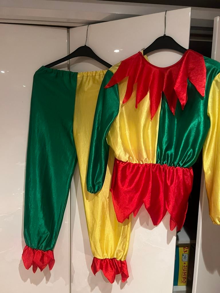 Harlekijn / Nar, Kleding | Dames, Ophalen, Zo goed als nieuw