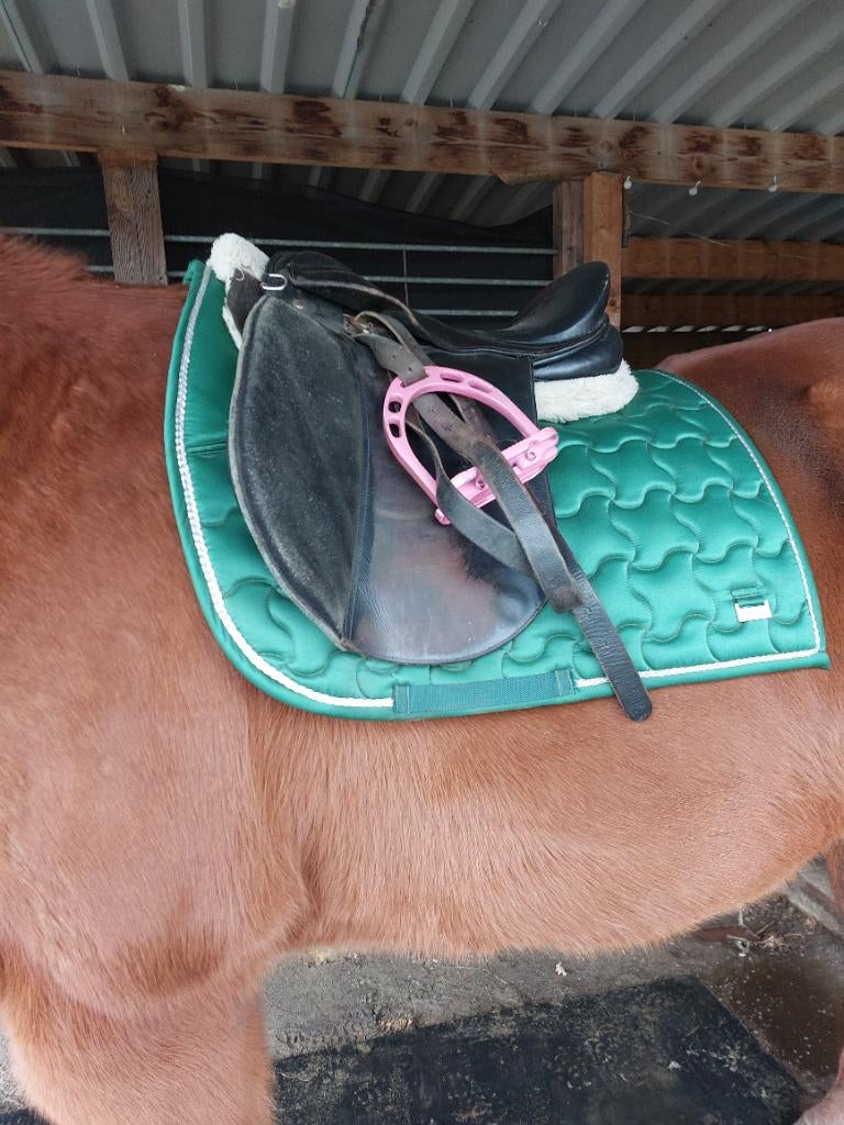 Spring Zadel 17,5inch, Ophalen, Gebruikt, Springen