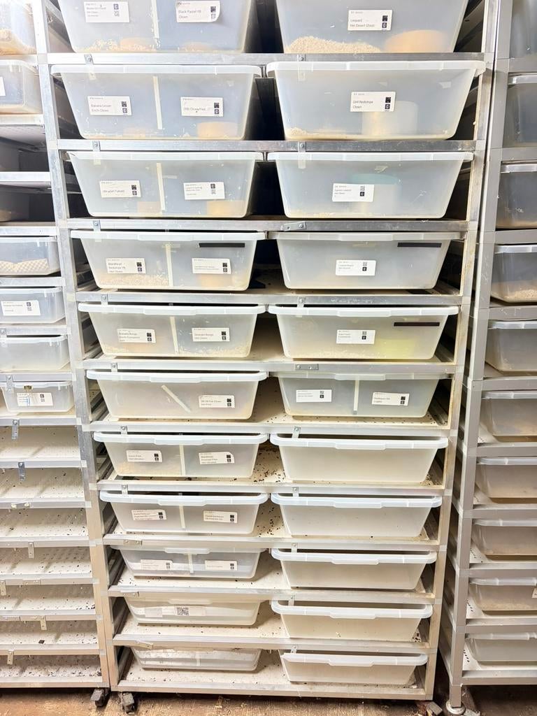 V70 rack kant en klaar, Dieren en Toebehoren, Reptielen en Amfibieën | Toebehoren, Zo goed als nieuw, Terrarium of Paludarium