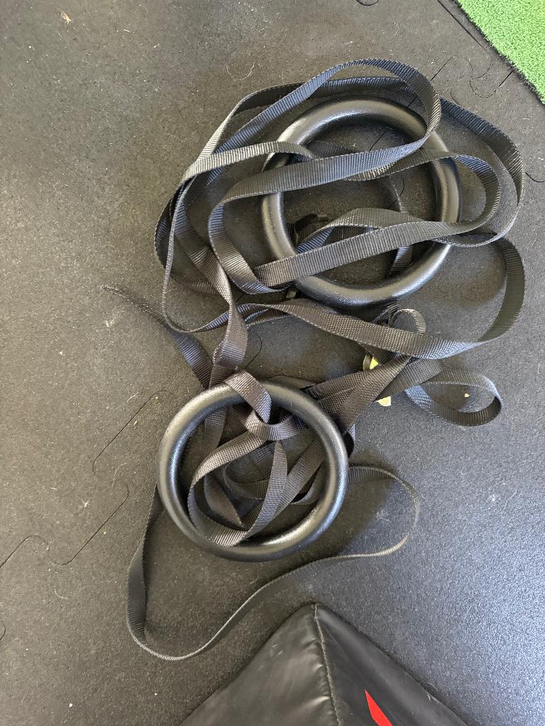 Turnringen kunststof, Sport en Fitness, Turnen, Ophalen, Gebruikt, Materiaal