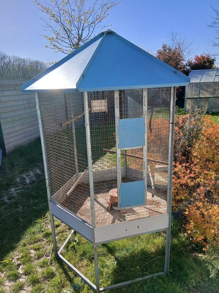 Grote vogelkooi / voliere, Dieren en Toebehoren, Ophalen