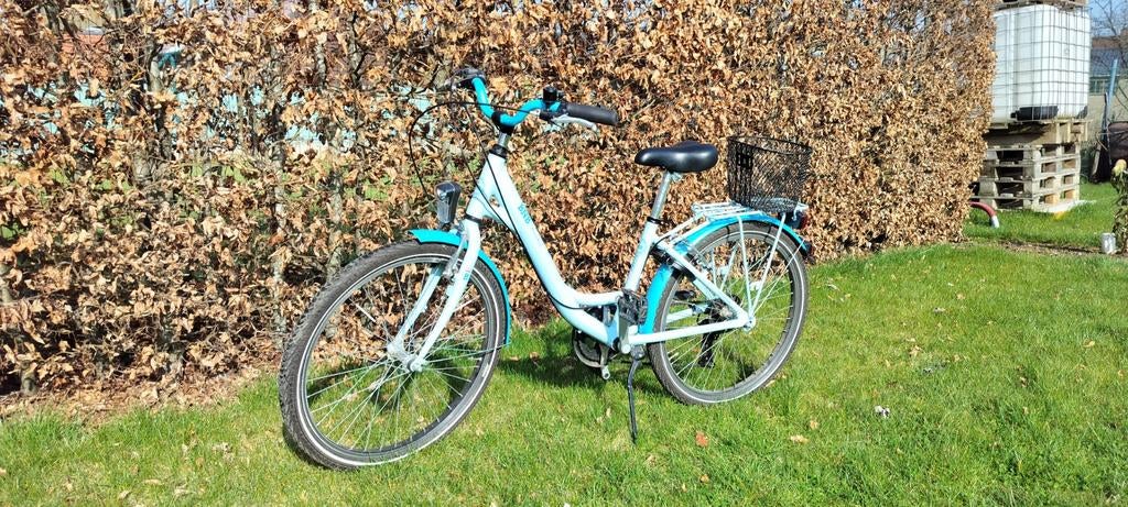 Meisjesfiets 6jaar, Enlèvement