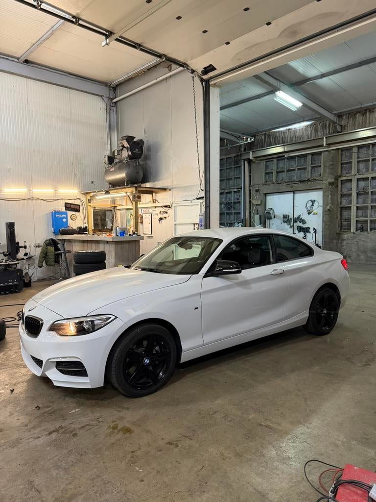 BMW 220D Euro 6, Automaat, Harman Kardon, Autos, BMW, Particulier, Sièges chauffants, Diesel, Euro 6, Automatique, Enlèvement