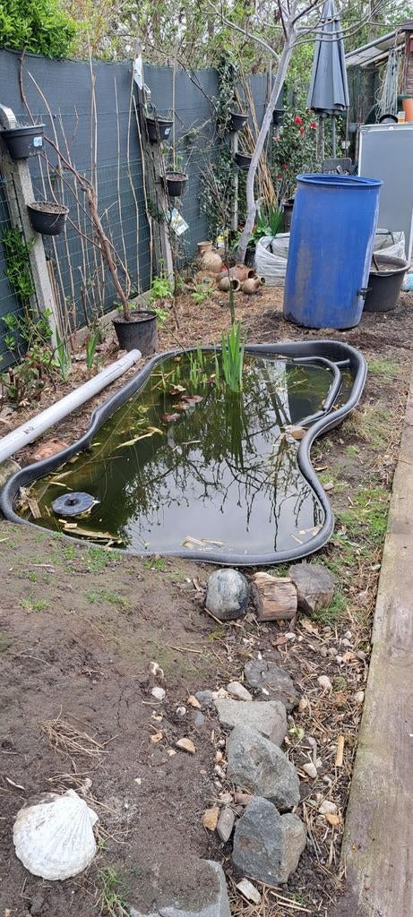 Vijver, Tuin en Terras