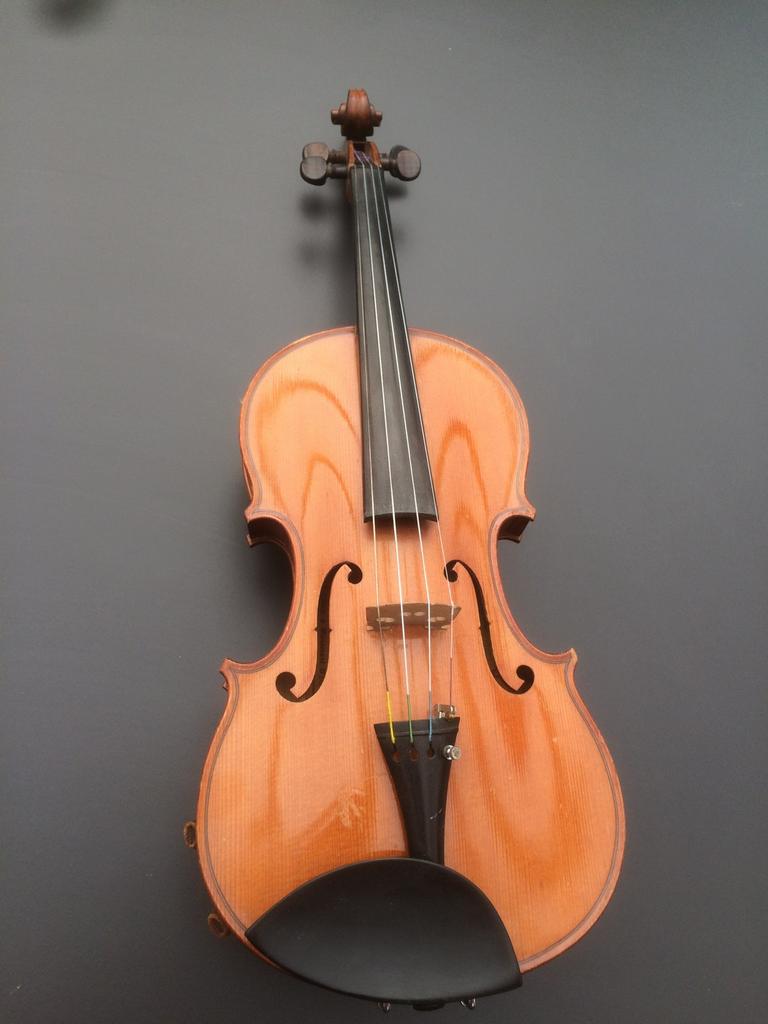 Violon, Muziek en Instrumenten, Strijkinstrumenten | Violen en Altviolen, Ophalen of Verzenden, Zo goed als nieuw, 4/4-viool, Viool