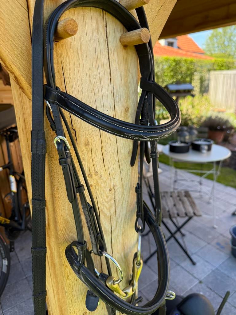 Hoofdstel, Dieren en Toebehoren, Ophalen, Gebruikt, Overige soorten