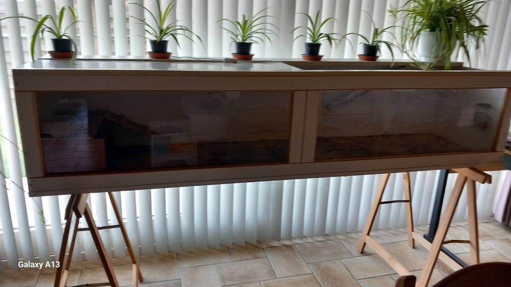 Cavia meubel voor binnenshuis., Dieren en Toebehoren, Februari, Cavia