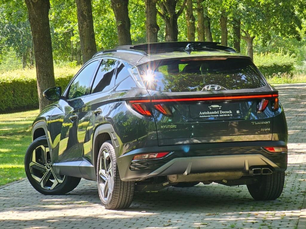 Hyundai tucson 1.6TGDI | SHINE | MILD HYBRID | FULL OPTION, Auto's, Hyundai, 169 kW, 1650 kg, Leder, Bedrijf
