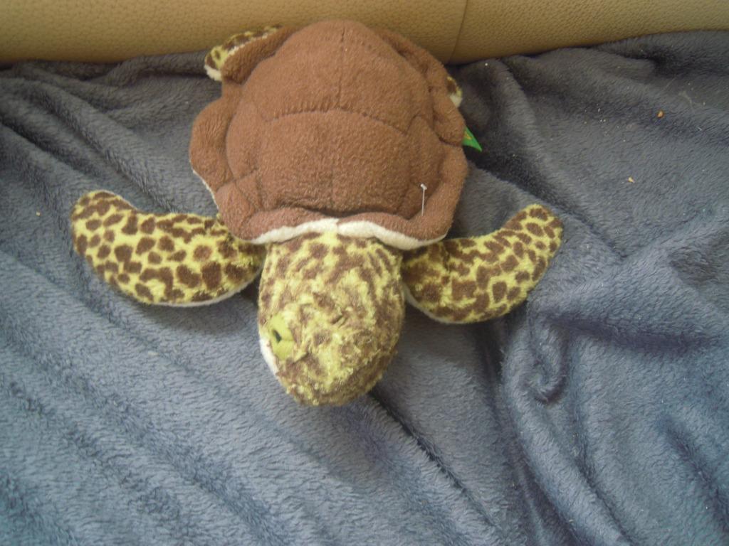 knuffel wild  republic schildpad (doos 30), Ophalen of Verzenden, Zo goed als nieuw