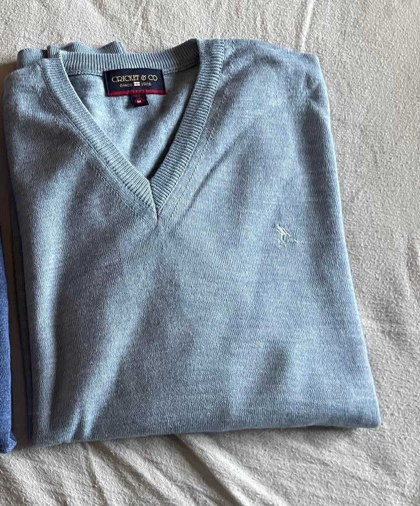 pull cricket et co-medium, Enlèvement ou Envoi, Bleu