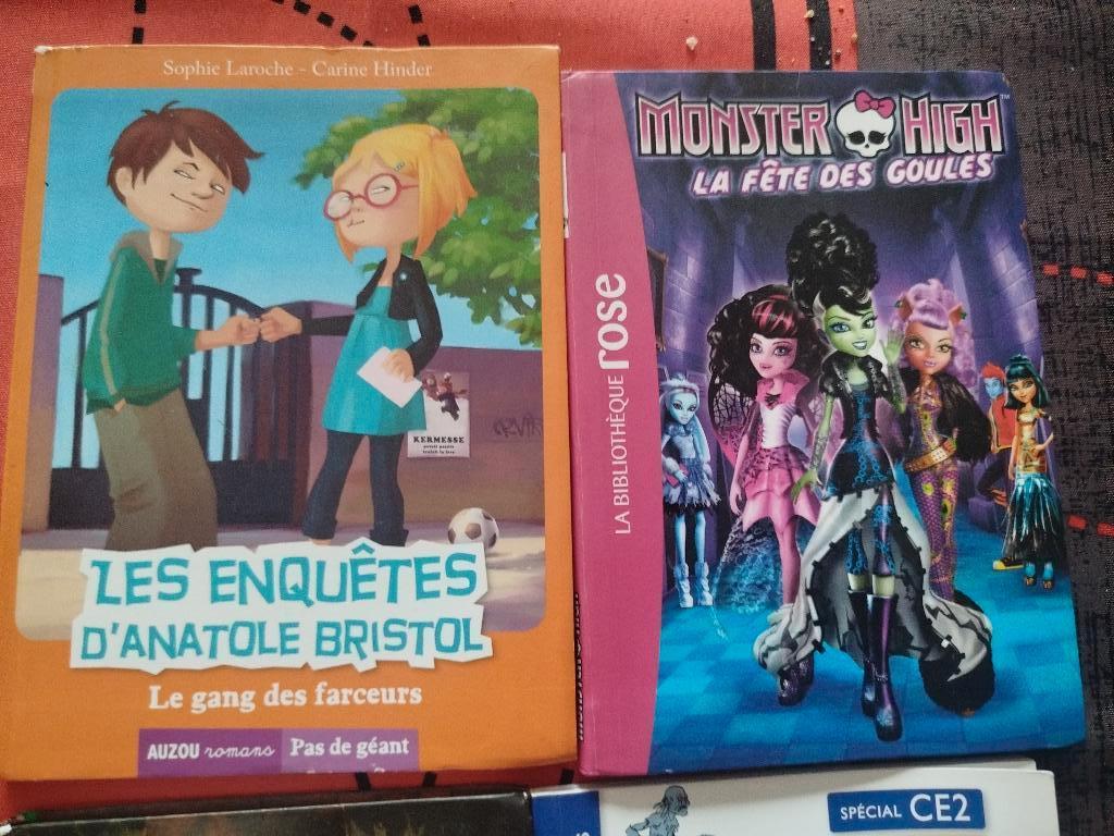 Livre aventure, Ophalen of Verzenden, Zo goed als nieuw