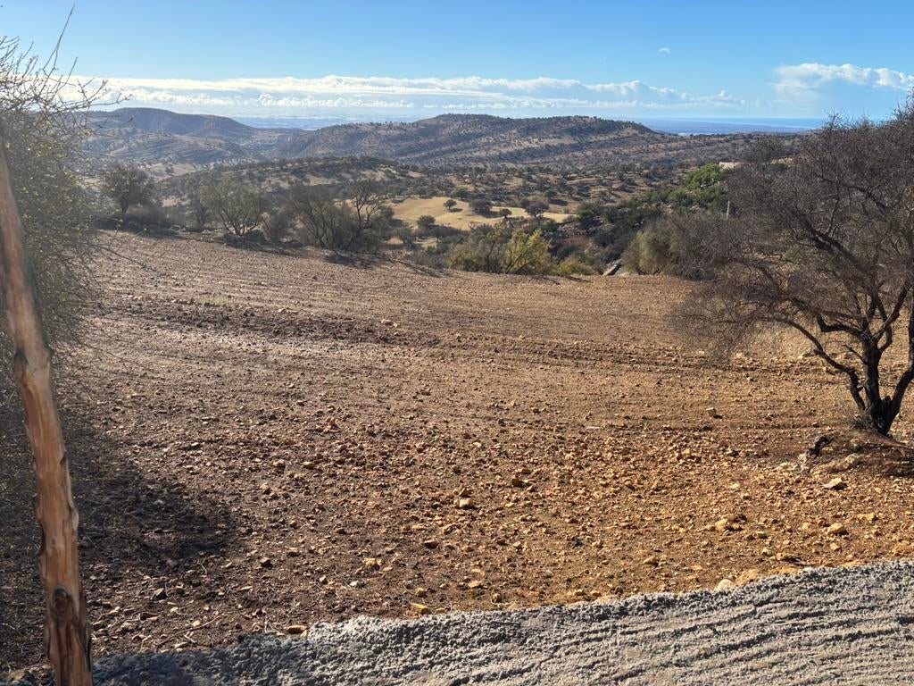 Terrain de 5500 m2 a vendre à Agadir, Immo, Terrains & Terrains à bâtir