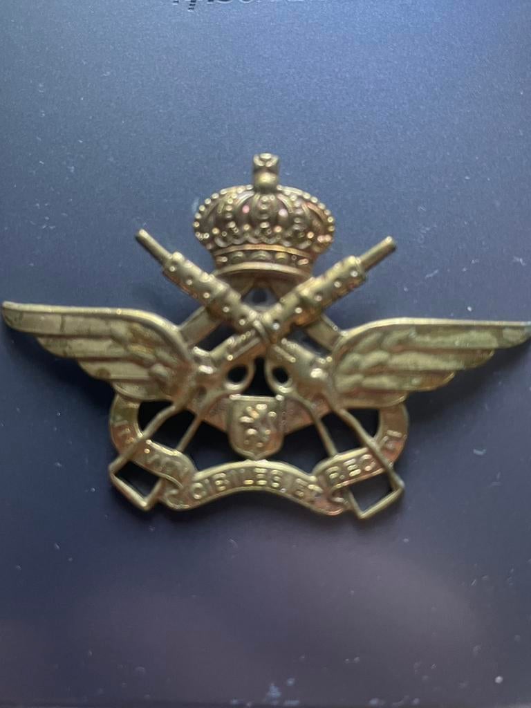 Insigne militaire belge …faire offre, Enlèvement ou Envoi