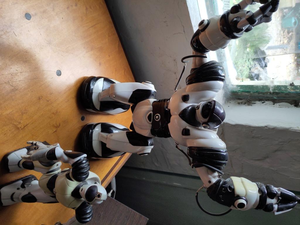 Robot sapiens wowwee, Ophalen of Verzenden, Gebruikt