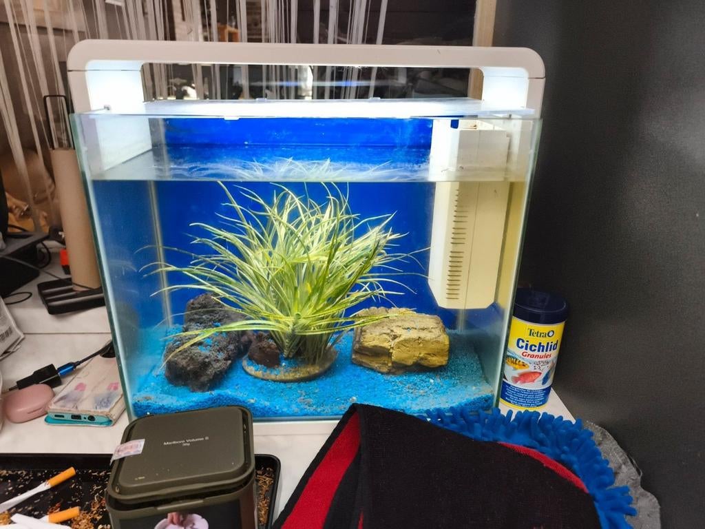 Aqarium, Dieren en Toebehoren, Ophalen