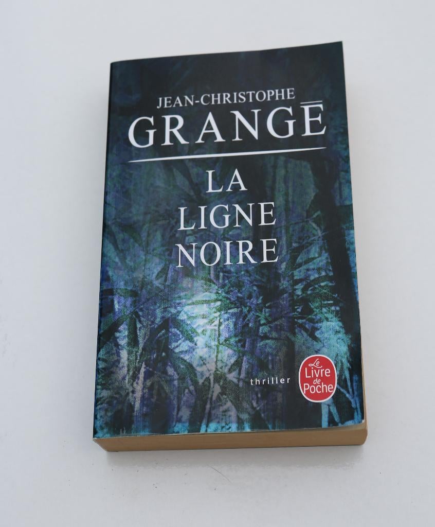 Thriller : "La ligne noire" - Jean-Christophe Grangé, Livres, Enlèvement ou Envoi, Comme neuf, Jean-Christophe Grangé.