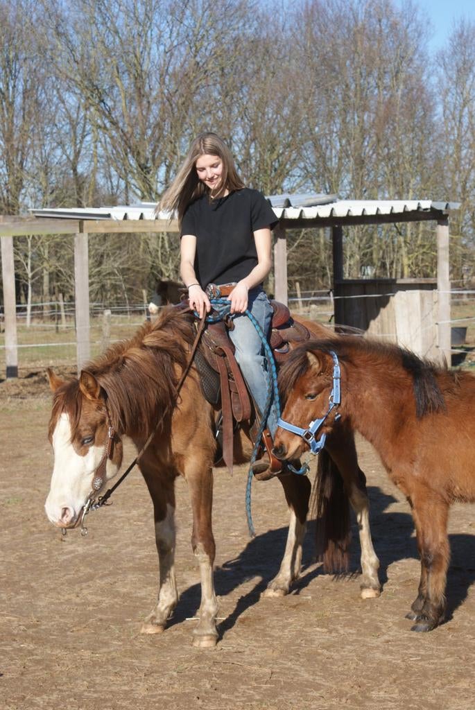 Zadelmak maken, Zadelmak