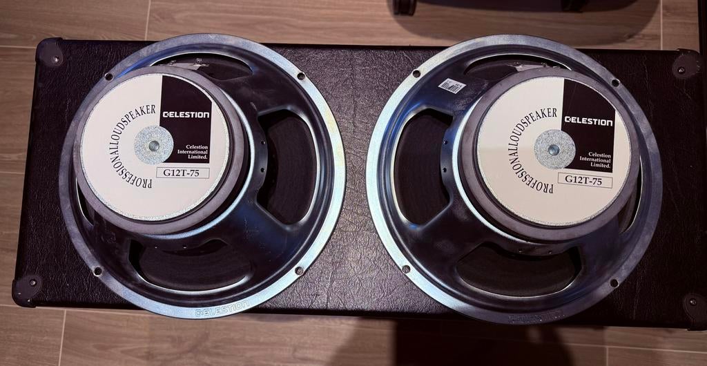 Celestion G12T75 16 ohm, Muziek en Instrumenten, Ophalen, Zo goed als nieuw, Gitaar, 50 tot 100 watt