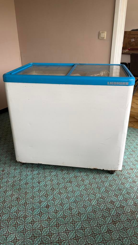 Congélateur bahut freezer, Enlèvement, Utilisé, Congélateur