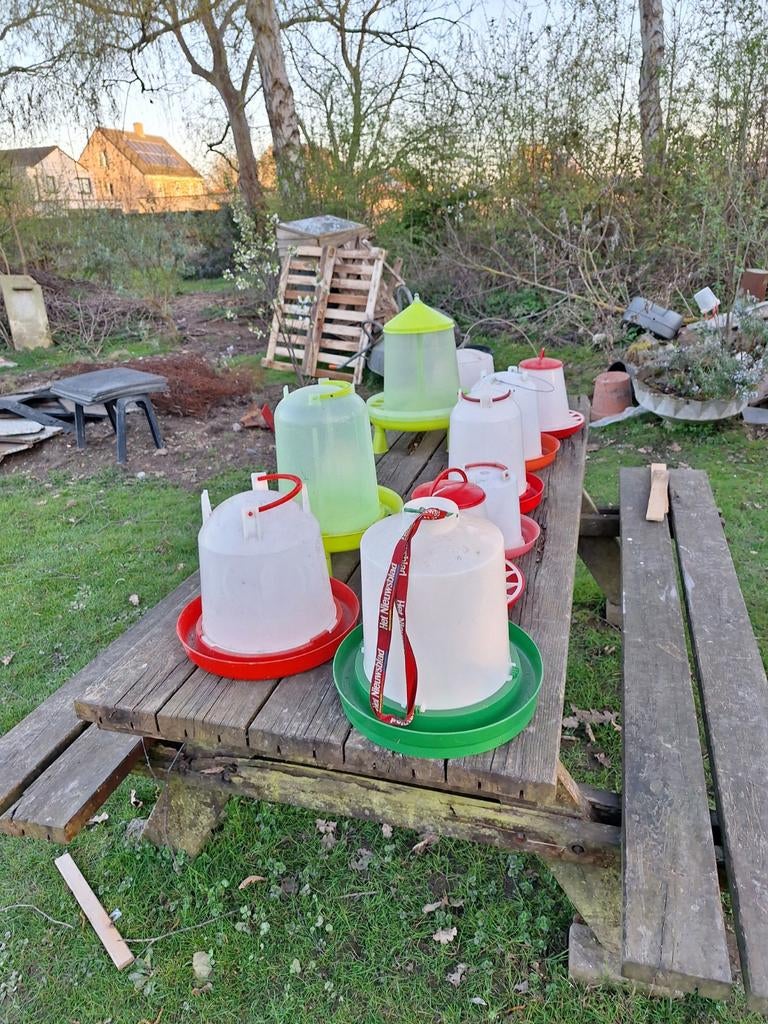 De speciale voor water een eten voor kippen, Ophalen