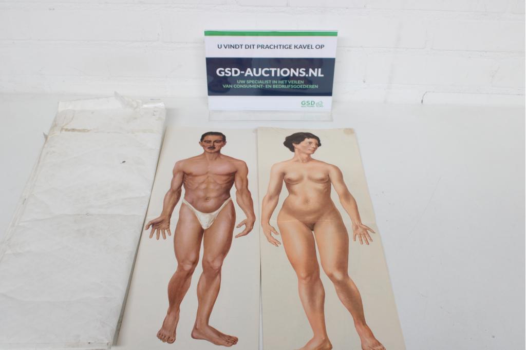 Anatomische platen man en vrouw J.F. Schreiber