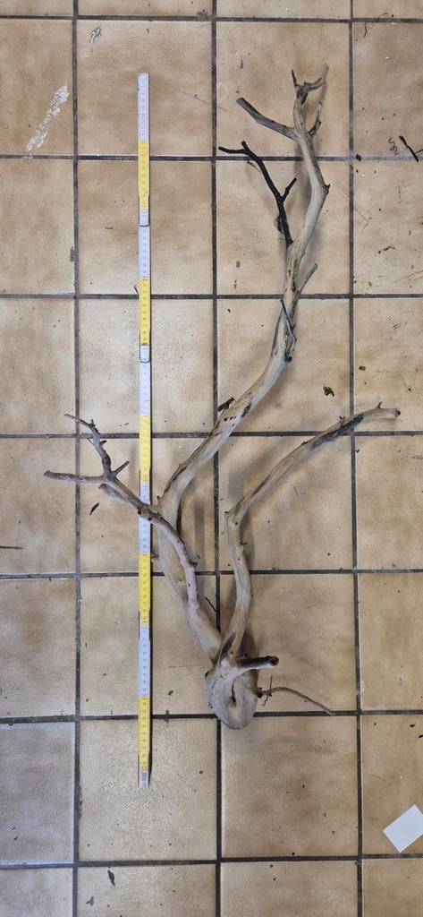 Aquariumhout, Animaux & Accessoires, Enlèvement