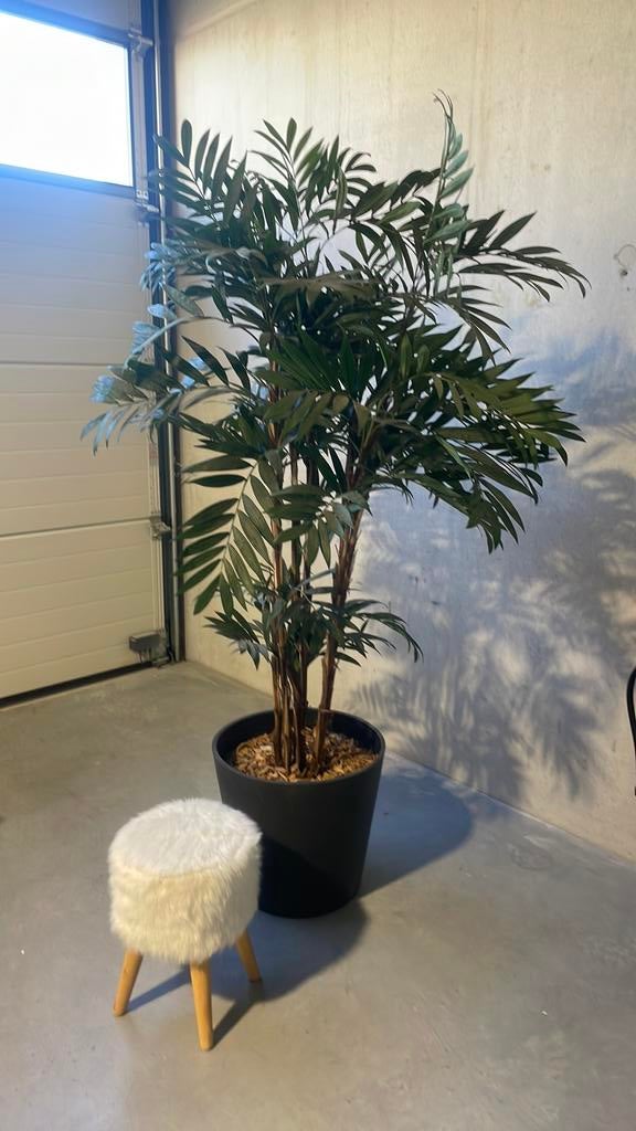 Kunstplant en stoeltje, Ophalen, Kunstplant, Onderhoudsvrij